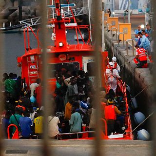 La firma I Argelia Queralt: vida y muerte en el mar