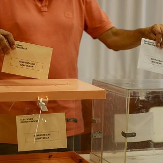 "El voto telem�tico necesitar�a la confianza del electorado"