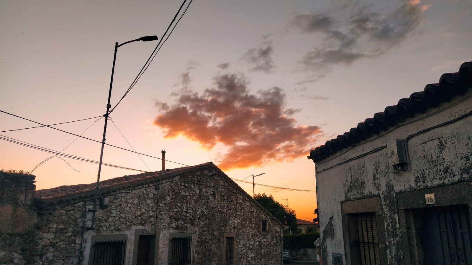El bosque habitado - Poco a poco vaciar la ciudad - 23/07/23 - escuchar ahora