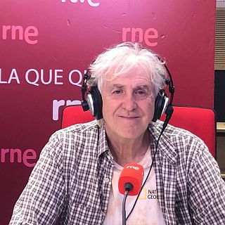 "Tenemos conocimiento de nuestro cuerpo, pero desorganizado"