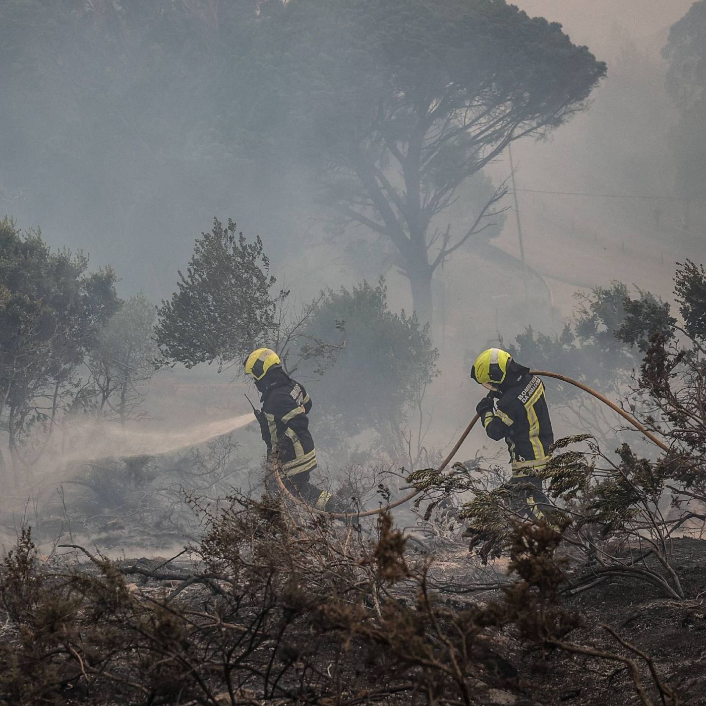 Crónica internacional -  Incendios fuera de control en los países mediterráneos - Escuchar ahora 