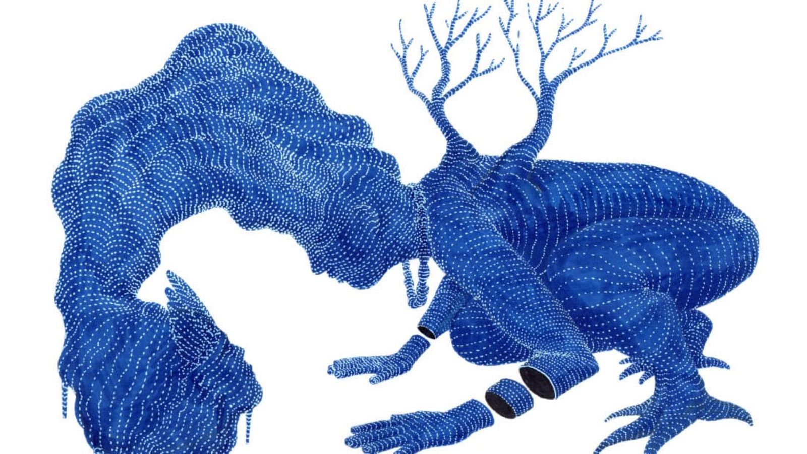 El bosque habitado - Antropocéntrico Homo Sapiens - 30/07/23 - escuchar ahora