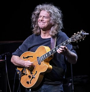 Cuando los elefantes sueñan con la música