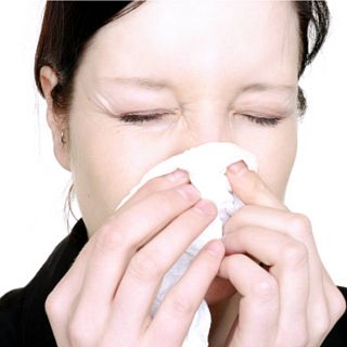 El gallo que no cesa