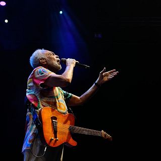 Cuando los elefantes sueñan con la música