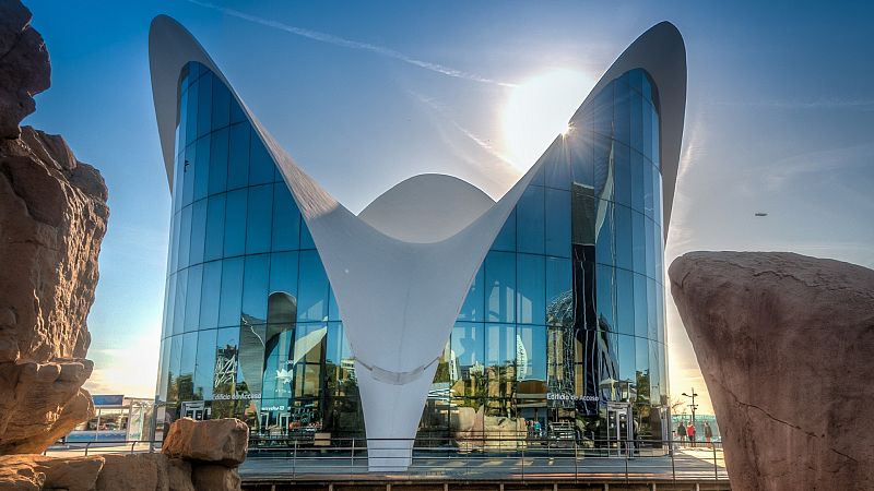 En primera persona - Oceanográfic de Valencia - 30/07/2023 - Escuchar ahora