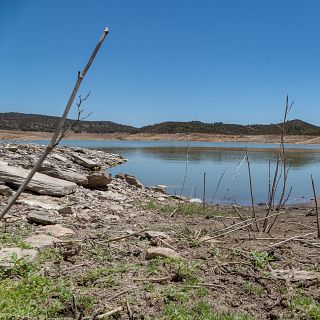 Sergio Vicente (CSIC): "Hay que actuar sobre los regad�os"