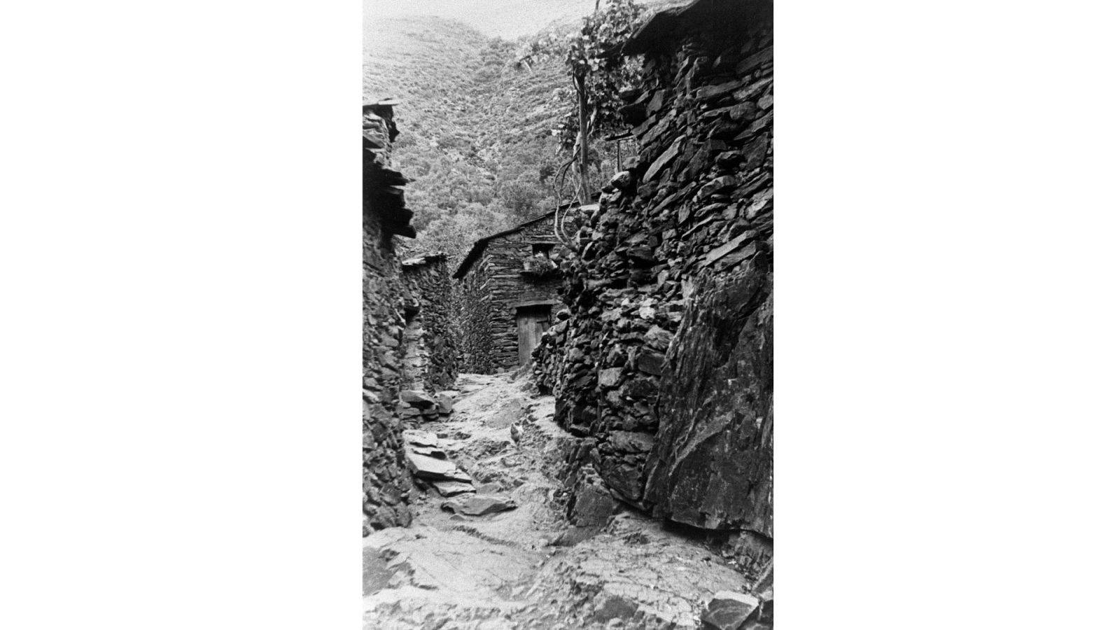 Reportajes Emisoras - Talavera - 'Aldeas sin perros' - escuchar ahora