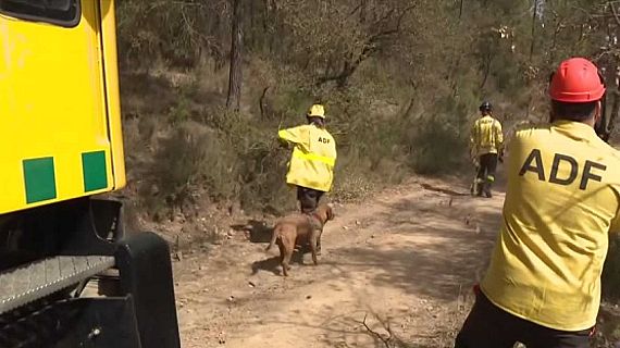 Serveis informatius Ràdio 4