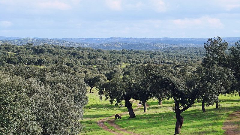 Reportaje emisoras - Cáceres - Asociación contra incendios 'Albura' - 08/08/23 - escuchar ahora