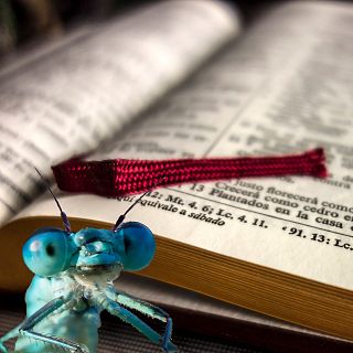 Volar como por ensalmo