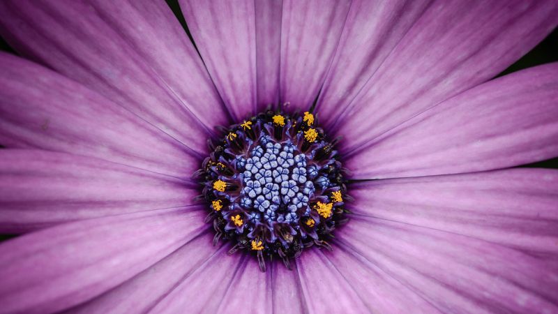 Noches en los jardines - Alla r�stica - 09/08/23 - escuchar ahora