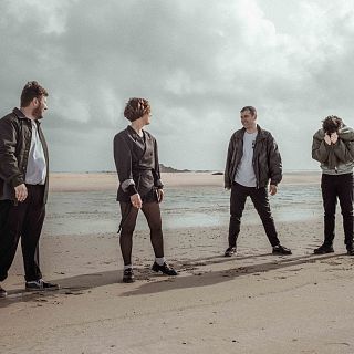 Tri�ngulo de Amor Bizarro, The Hives