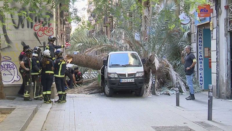 L'Ajuntament de Barcelona assumirà les despeses funeràries de la Samira