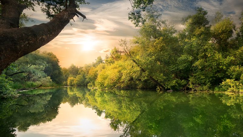 Reflejos en el agua - Cuadernos secretos de Raquel Lojendio - 08/08/23 - escuchar ahora