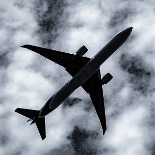 El gallo que no cesa