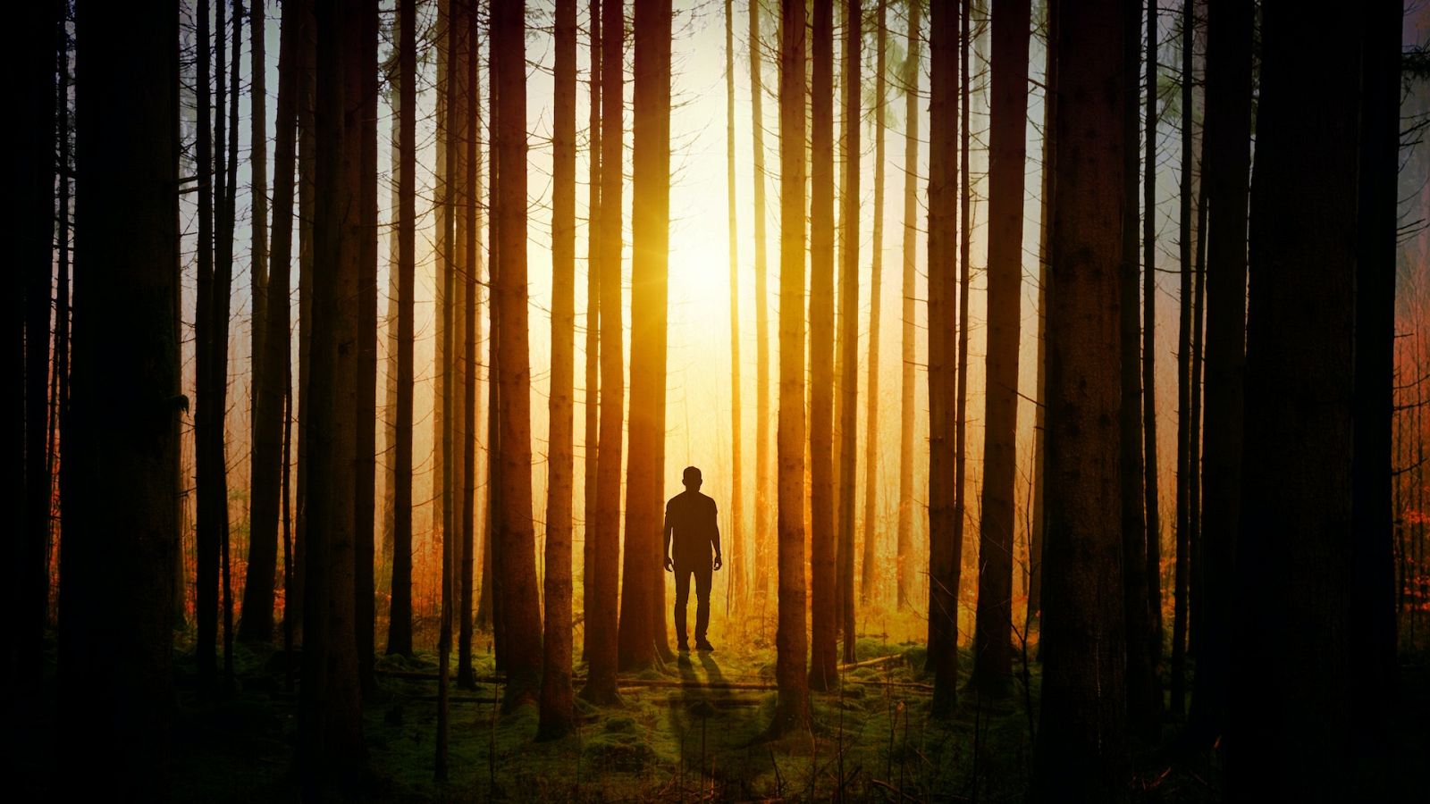 Avui, Sol - Podcast de Misteri - Escoltar Ara