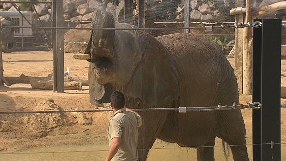 Serveis informatius Ràdio 4