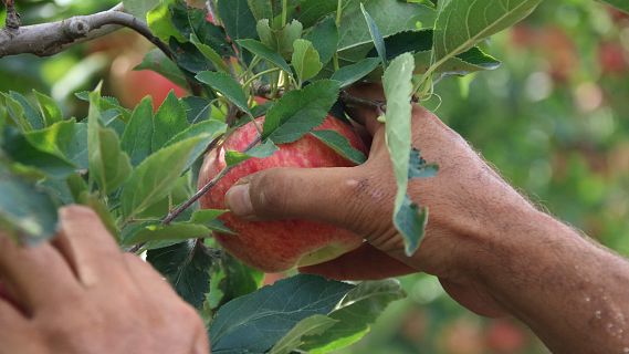 Serveis informatius Ràdio 4