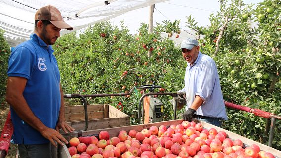 Serveis informatius Ràdio 4