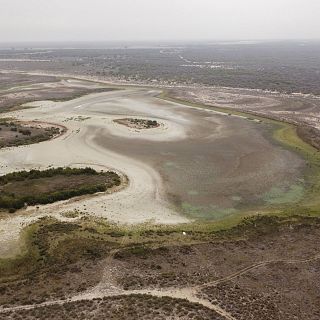 José Enrique Borrallo: "Doñana es una cuestión de Estado"