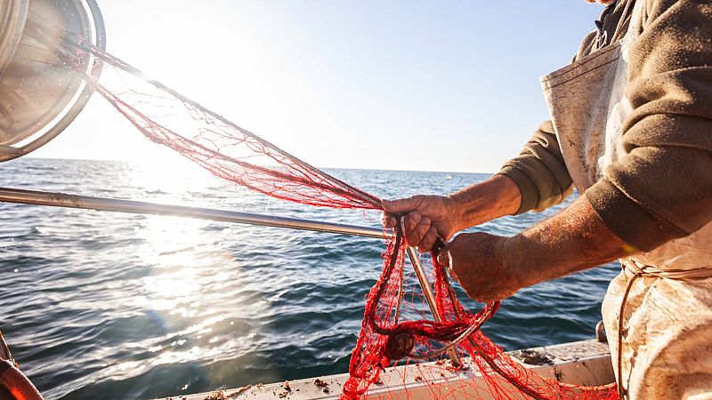 Mundo rural - Negociaciones de las cuotas de pesca en la Unión Europea - 11/08/23 - Escuchar ahora