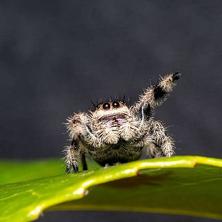 El paisaje de las emociones