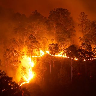 El sistema que ayuda a extinguir el fuego de manera m�s �gil
