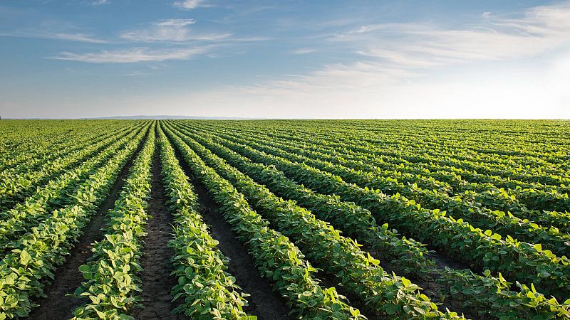 Mundo rural - PAC y el coeficiente definitivo del Pago Verde 2022 - 14/08/23 - Escuchar ahora