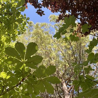 Tres en la carretera