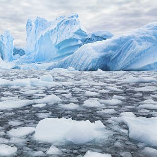 Nicotina y antidepresivos en las aguas de la Ant�rtida