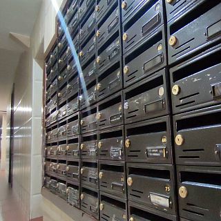 El gallo que no cesa