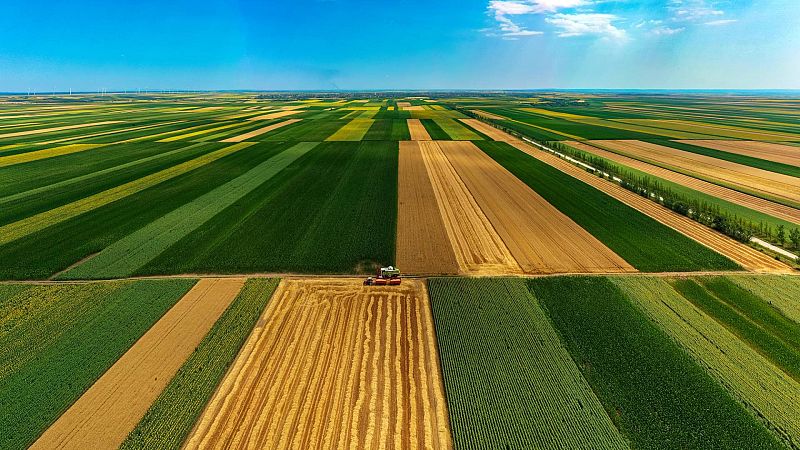 Reportaje emisoras - Mérida - Cluster agroalimentario - 16/08/23 - Escuchar ahora