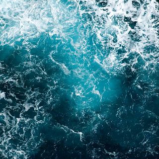 Limpiando el Mediterráneo