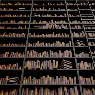 Jorge Corrales y la biblioteca de los libros rechazados
