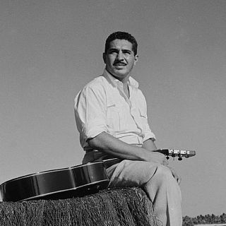 Cuando los elefantes sueñan con la música