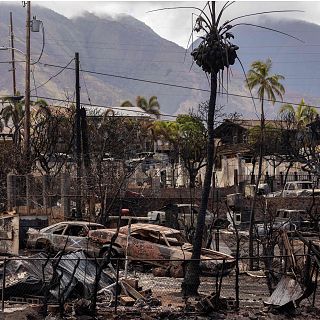 Al menos 1.000 personas siguen desaparecidas en Maui