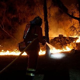 Día Mundial de la Prevención de Incendios: cómo colaborar