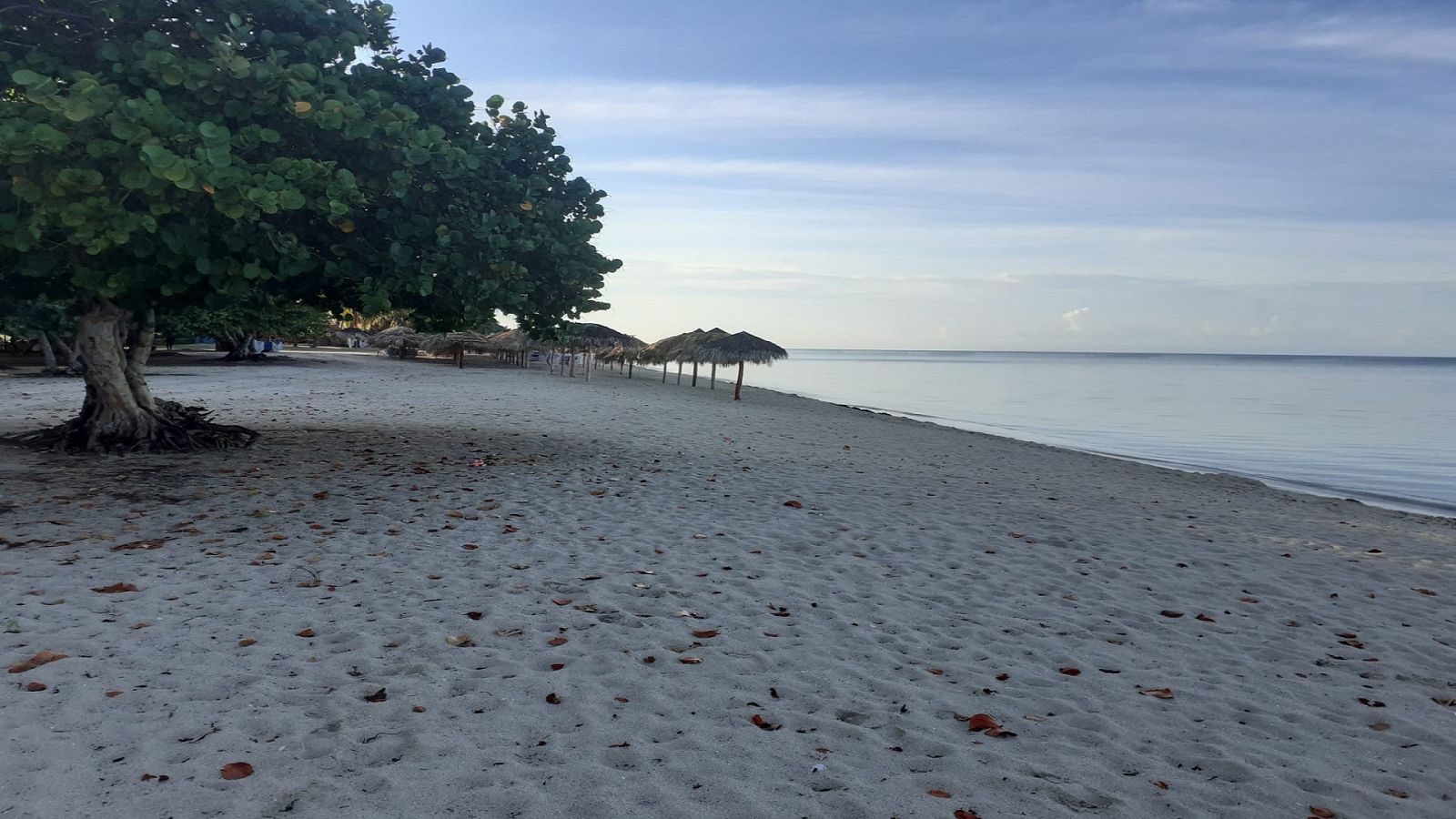 Música que escuché en alguna parte - Canciones para ver la puesta de sol - 23/08/23 - escuchar ahora