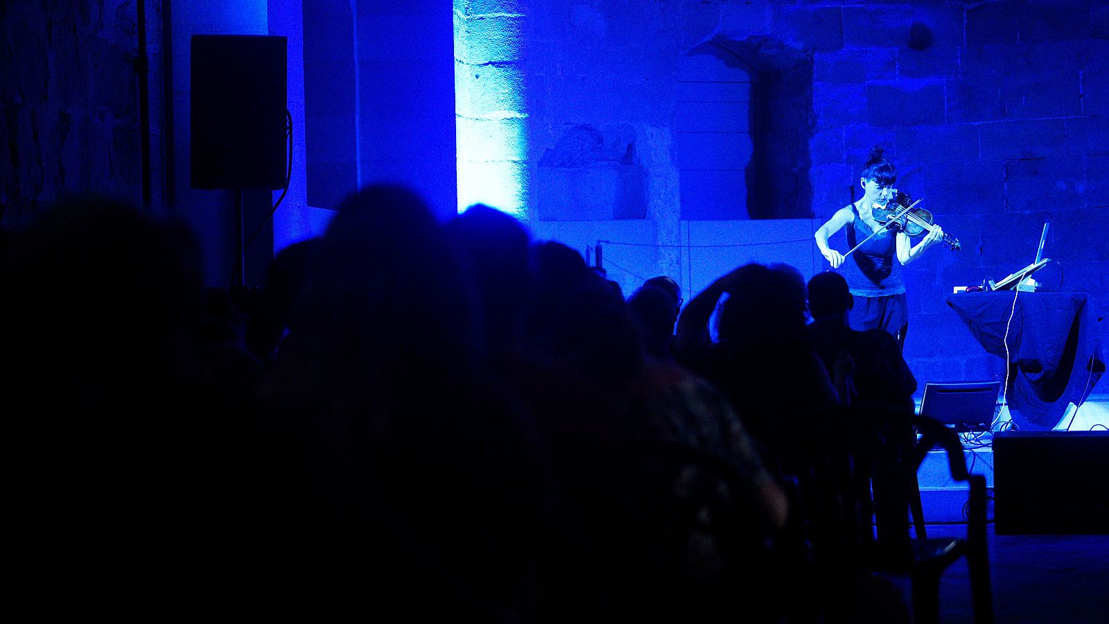 Eufònic, un festival en el delta del Ebro