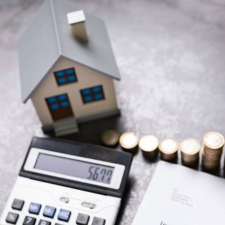 El gallo que no cesa