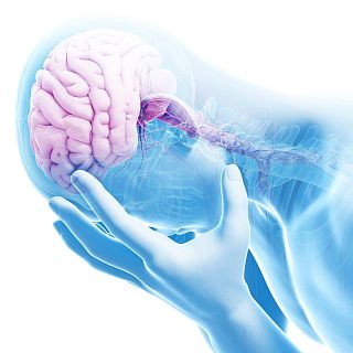 El gallo que no cesa