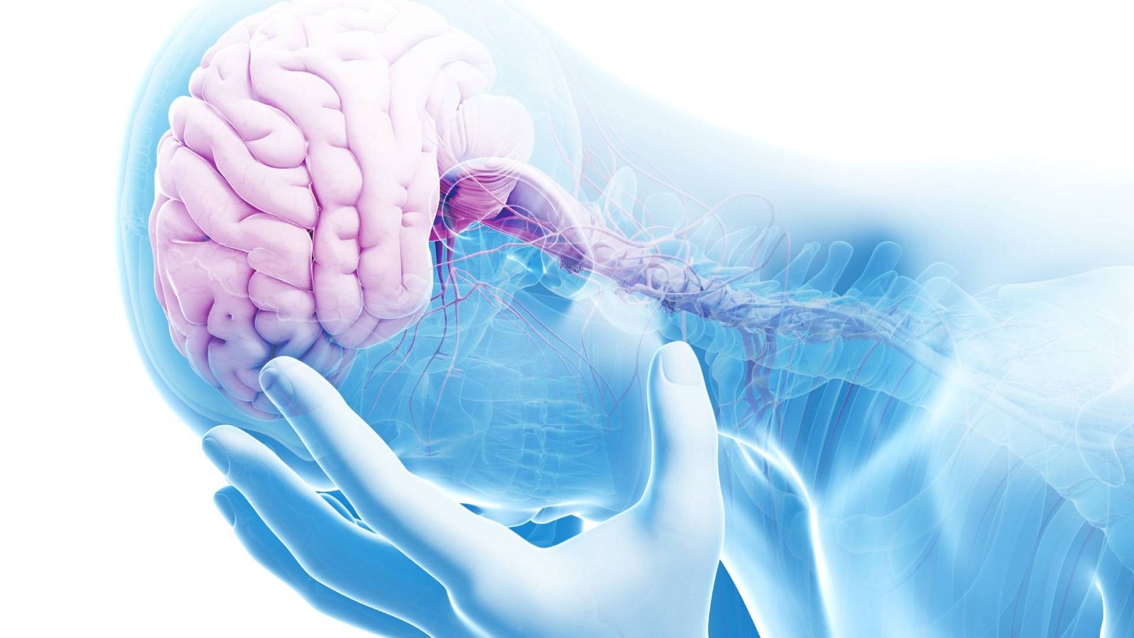 El gallo que no cesa - Cómo sobrevivir a ti mismo: La relación con la tristeza - Escuchar ahora