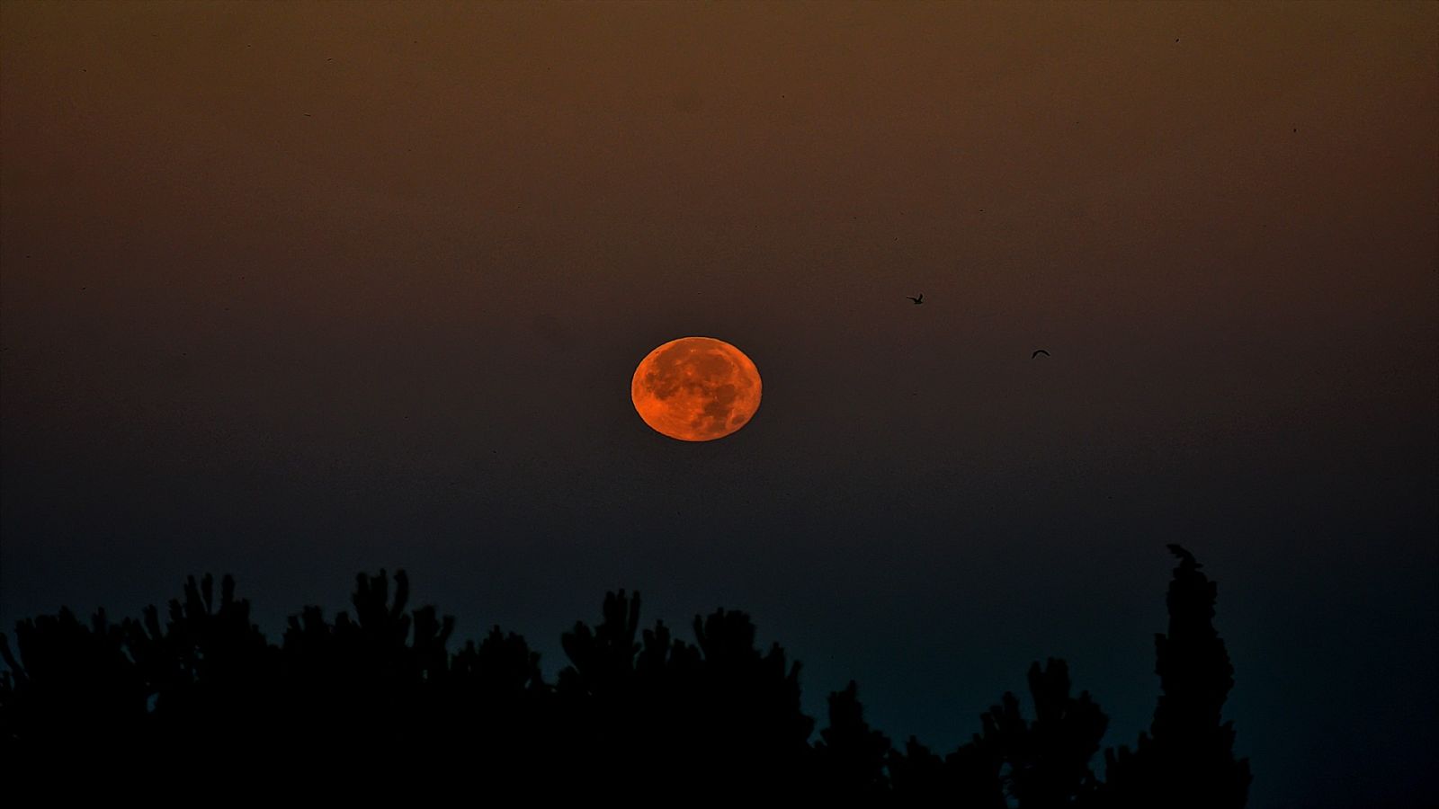 Gente despierta - Los mundos oscuros - 24/08/23 - escuchar ahora