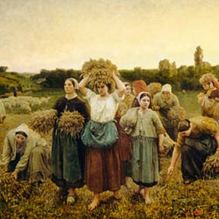 El gallo que no cesa