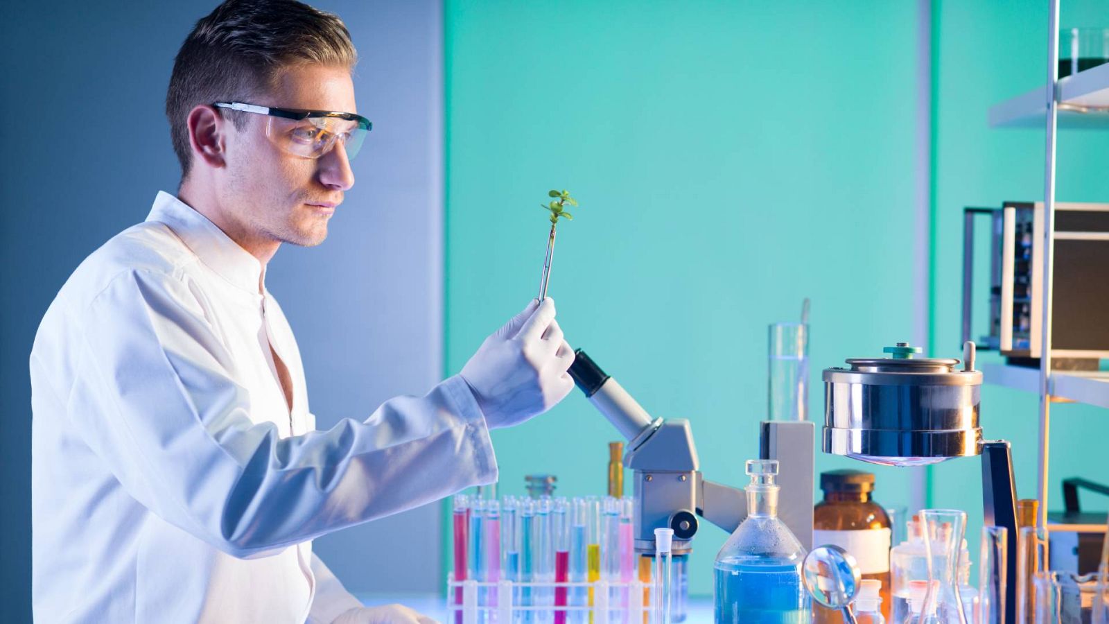 El gallo que no cesa - Bueno, barato y sostenible: El ecopostureo de los productos - Escuchar ahora