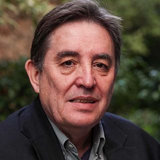 El gallo que no cesa