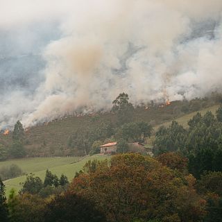 En un mundo feliz en R5