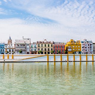 El gallo que no cesa