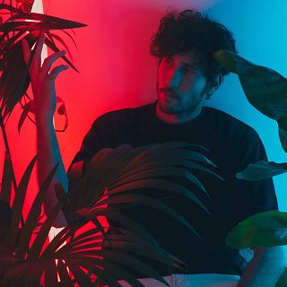 Amatria, Pipiolas, Roosevelt y Geese